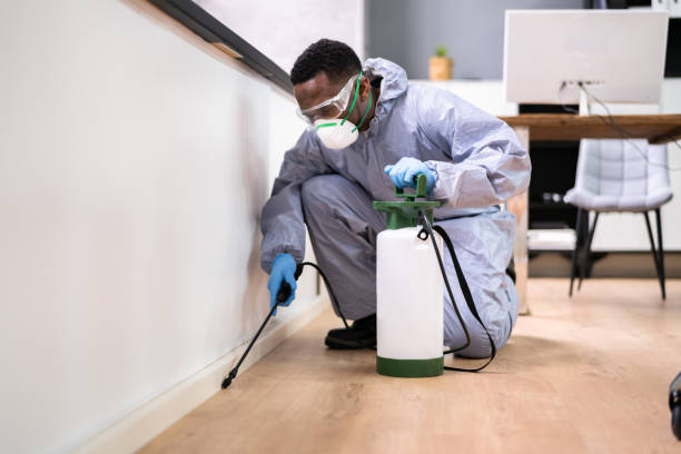 Best Residential Pest Control  in Summerside, OH